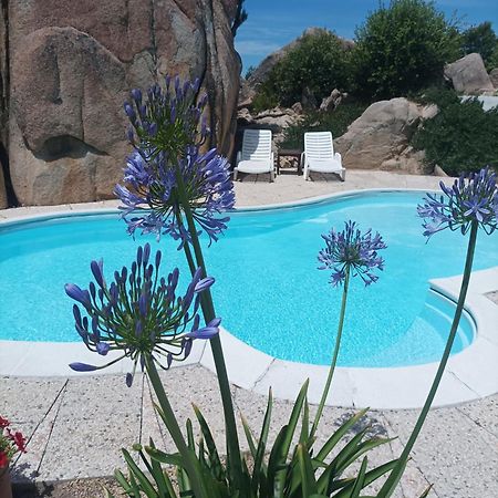 Villa Majore Beb Con Piscina Privata Rena Majore Exterior foto